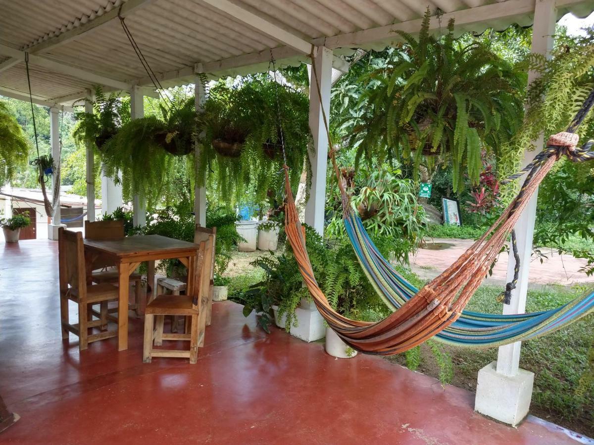 مينسا Hostel Villa Silvia المظهر الخارجي الصورة